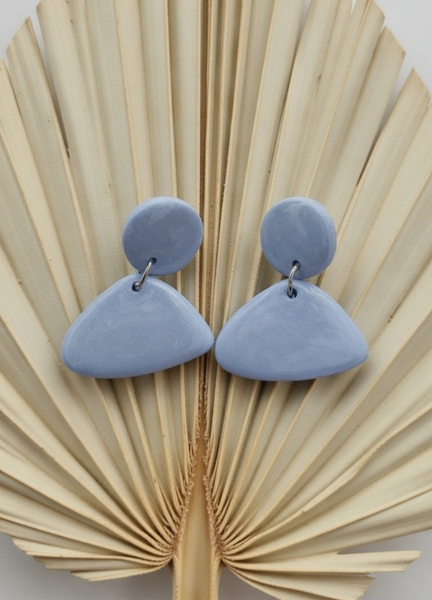 Chic sparkling earrings